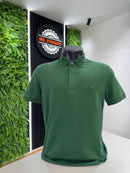 Polo Lacoste ED Paris Verde